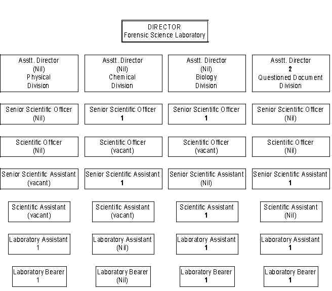 Organisation Chart