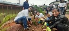 World Environment Day 5th June 2019 planting of tree saplings