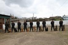 Meghalaya Police K-9 Unit has total of  12(twelve) numbers of dogs of different breed