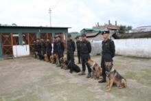 2(two) Narcotics Sniffer dogs were inducted in CID Dog Squad, Shillong and 1(one) Explosive Dogs at Tura Dog Squad at Goeragre.