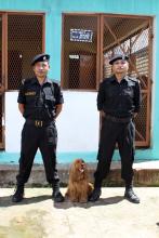 Narcotics Sniffer Dog Brandy with handlers