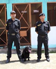 Narcotics Sniffer Dog Remor with handlers