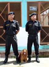 Narcotics Sniffer Dog Saffi with Handlers
